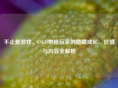 不止是游戏，CSGO带给玩家的隐藏成长、价值与内容全解析