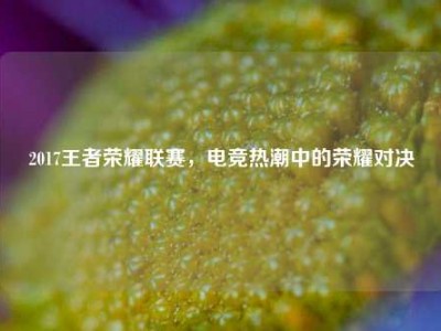 2017王者荣耀联赛，电竞热潮中的荣耀对决