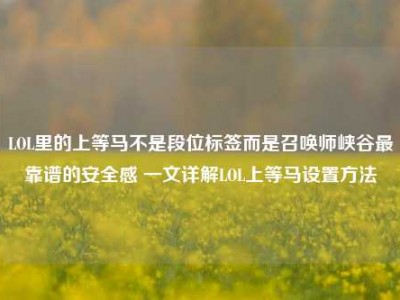 LOL里的上等马不是段位标签而是召唤师峡谷最靠谱的安全感 一文详解LOL上等马设置方法