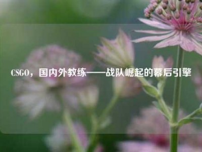 CSGO，国内外教练——战队崛起的幕后引擎