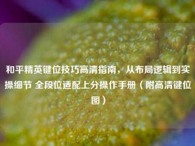 和平精英键位技巧高清指南，从布局逻辑到实操细节 全段位适配上分操作手册（附高清键位图）