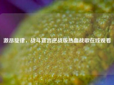 激昂旋律，战斗宣言逆战版热血战歌在线观看