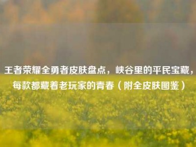 王者荣耀全勇者皮肤盘点，峡谷里的平民宝藏，每款都藏着老玩家的青春（附全皮肤图鉴）