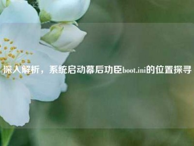 深入解析，系统启动幕后功臣boot.ini的位置探寻