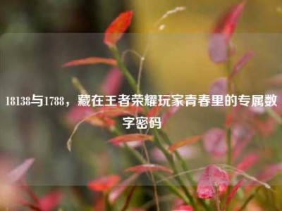 18138与1788，藏在王者荣耀玩家青春里的专属数字密码