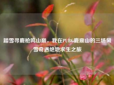 踏雪寻鹿枪鸣山巅，我在PUBG鹿鼎山的三场风雪奇遇绝地求生之旅