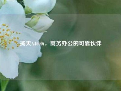 扬天A4600t，商务办公的可靠伙伴