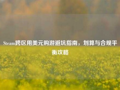 Steam跨区用美元购游避坑指南，划算与合规平衡攻略