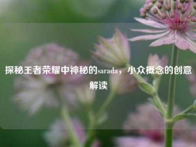 探秘王者荣耀中神秘的sarada，小众概念的创意解读