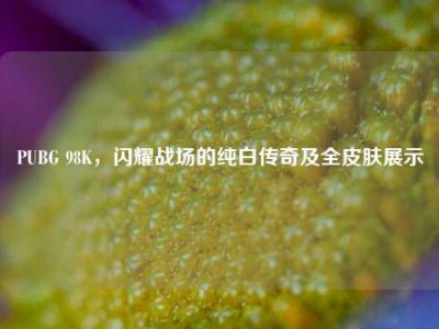 PUBG 98K，闪耀战场的纯白传奇及全皮肤展示