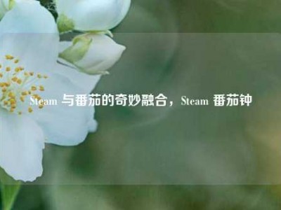 Steam 与番茄的奇妙融合，Steam 番茄钟