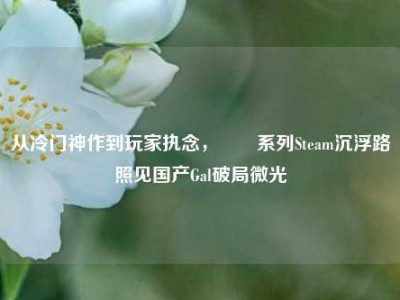 从冷门神作到玩家执念，鸑鷟系列Steam沉浮路照见国产Gal破局微光
