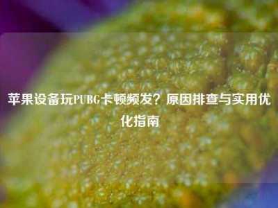 苹果设备玩PUBG卡顿频发？原因排查与实用优化指南