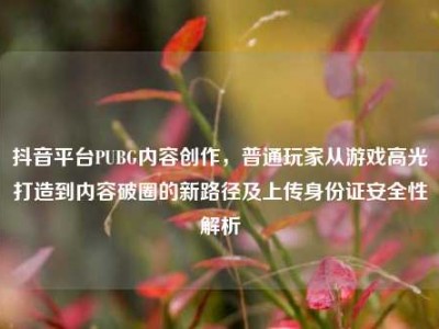 抖音平台PUBG内容创作，普通玩家从游戏高光打造到内容破圈的新路径及上传身份证安全性解析