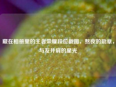 藏在相册里的王者荣耀段位截图，熬夜的勋章，与友并肩的星光