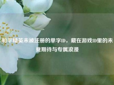 和平精英未被注册的单字ID，藏在游戏ID里的未竟期待与专属浪漫