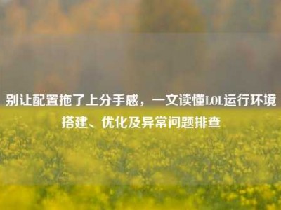 别让配置拖了上分手感，一文读懂LOL运行环境搭建、优化及异常问题排查