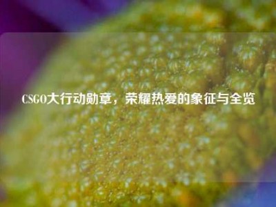 CSGO大行动勋章，荣耀热爱的象征与全览