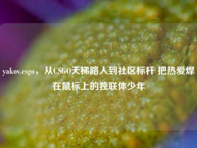 yakov.csgo，从CSGO天梯路人到社区标杆 把热爱焊在鼠标上的独联体少年