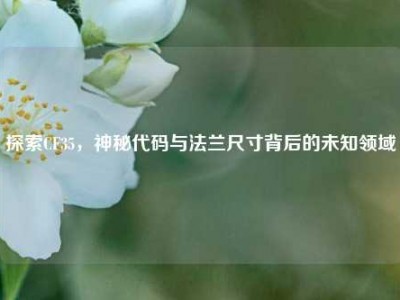 探索CF35，神秘代码与法兰尺寸背后的未知领域