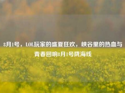 8月1号，LOL玩家的盛夏狂欢，峡谷里的热血与青春回响8月1号陇海线