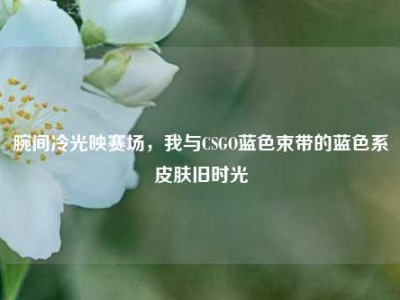 腕间冷光映赛场，我与CSGO蓝色束带的蓝色系皮肤旧时光