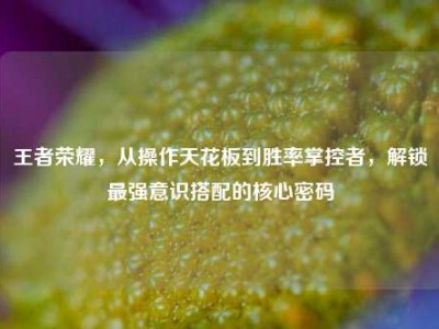 王者荣耀，从操作天花板到胜率掌控者，解锁最强意识搭配的核心密码