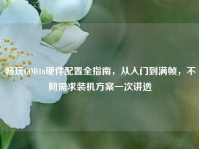 畅玩COD16硬件配置全指南，从入门到满帧，不同需求装机方案一次讲透