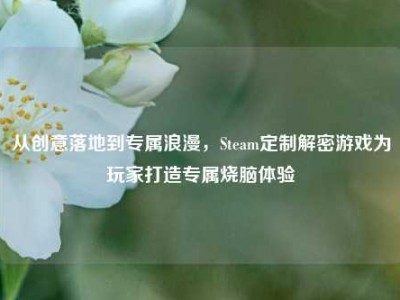 从创意落地到专属浪漫，Steam定制解密游戏为玩家打造专属烧脑体验