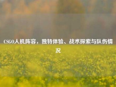CSGO人机阵容，独特体验、战术探索与队伤情况
