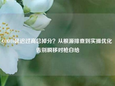 COD16延迟过高总掉分？从根源排查到实操优化 告别瞬移对枪白给