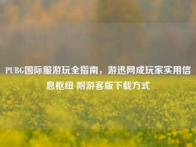 PUBG国际服游玩全指南，游迅网成玩家实用信息枢纽 附游客版下载方式