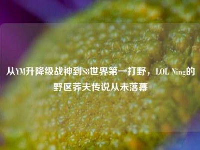 从YM升降级战神到S8世界第一打野，LOL Ning的野区莽夫传说从未落幕