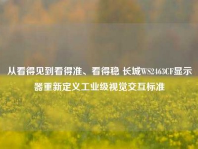 从看得见到看得准、看得稳 长城WS2463CF显示器重新定义工业级视觉交互标准
