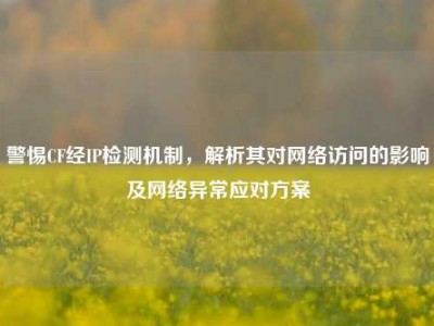 警惕CF经IP检测机制，解析其对网络访问的影响及网络异常应对方案