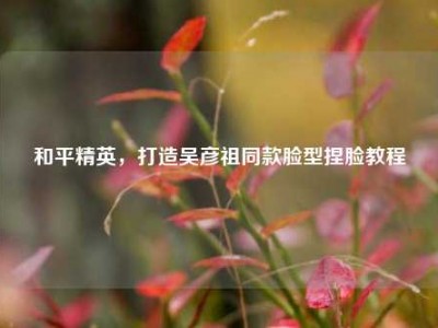 和平精英，打造吴彦祖同款脸型捏脸教程