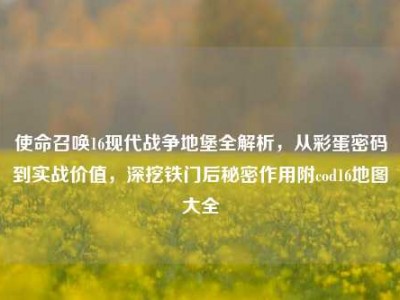 使命召唤16现代战争地堡全解析，从彩蛋密码到实战价值，深挖铁门后秘密作用附cod16地图大全