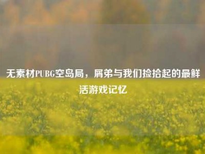 无素材PUBG空岛局，屑弟与我们捡拾起的最鲜活游戏记忆