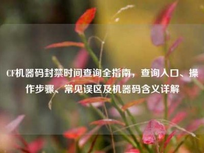 CF机器码封禁时间查询全指南，查询入口、操作步骤、常见误区及机器码含义详解