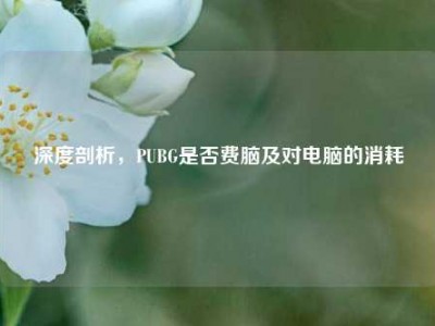 深度剖析，PUBG是否费脑及对电脑的消耗