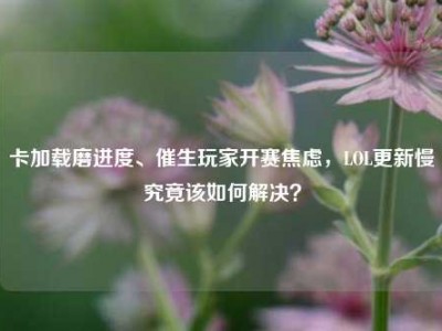 卡加载磨进度、催生玩家开赛焦虑，LOL更新慢究竟该如何解决？