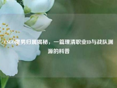 CSGO魔男归属揭秘，一篇理清职业ID与战队渊源的科普