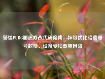 警惕PUBG画质修改代码陷阱，神级优化暗藏账号封禁、设备受损双重风险