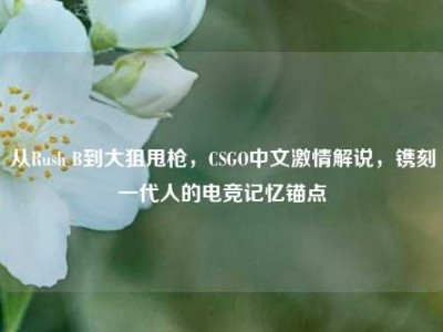从Rush B到大狙甩枪，CSGO中文激情解说，镌刻一代人的电竞记忆锚点