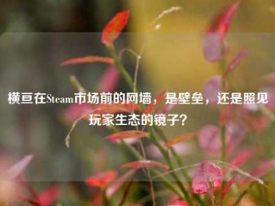 横亘在Steam市场前的网墙，是壁垒，还是照见玩家生态的镜子？