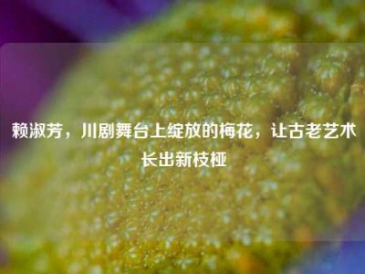 赖淑芳，川剧舞台上绽放的梅花，让古老艺术长出新枝桠