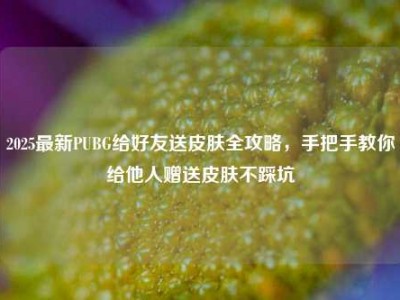 2025最新PUBG给好友送皮肤全攻略，手把手教你给他人赠送皮肤不踩坑