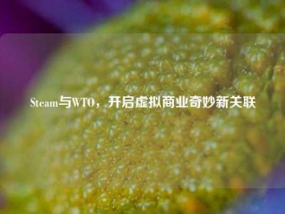 Steam与WTO，开启虚拟商业奇妙新关联
