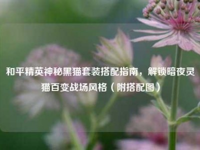 和平精英神秘黑猫套装搭配指南，解锁暗夜灵猫百变战场风格（附搭配图）