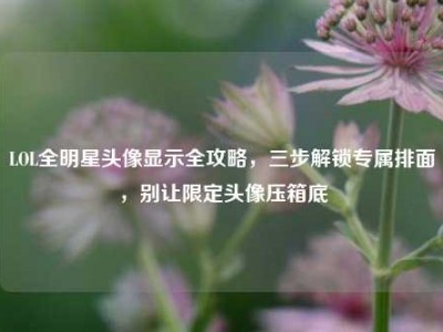 LOL全明星头像显示全攻略，三步解锁专属排面，别让限定头像压箱底